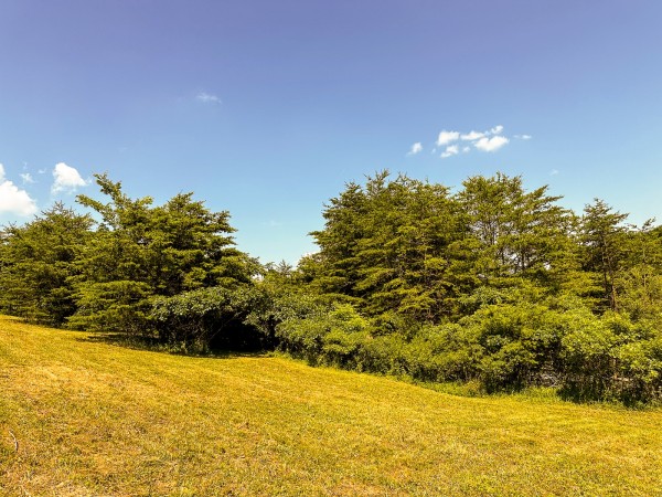 Tract 11 at The Woods on Wayne National Forest property photo