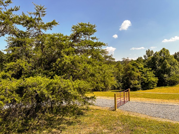 Tract 11 at The Woods on Wayne National Forest property photo