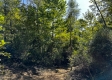 Tract 2 - The Woods at Dutch Ridge property photo
