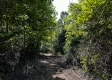 Tract 2 - The Woods at Dutch Ridge property photo