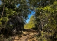 Tract 2 - The Woods at Dutch Ridge property photo