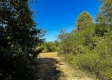 Tract 2 - The Woods at Dutch Ridge property photo