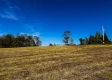 Tract 2 - The Woods at Dutch Ridge property photo