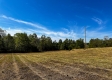 Tract 2 - The Woods at Dutch Ridge property photo