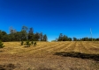 Tract 2 - The Woods at Dutch Ridge property photo