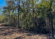 Tract 2 - The Woods at Dutch Ridge property photo