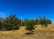 Tract 2 - The Woods at Dutch Ridge property photo