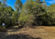 Tract 2 - The Woods at Dutch Ridge property photo