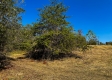 Tract 2 - The Woods at Dutch Ridge property photo