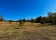 Tract 2 - The Woods at Dutch Ridge property photo
