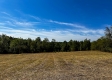More of Tract 2 - The Woods at Dutch Ridge