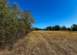 Tract 2 - The Woods at Dutch Ridge property photo