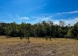 Tract 2 - The Woods at Dutch Ridge property photo
