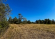 Tract 2 - The Woods at Dutch Ridge property photo