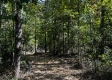 Tract 2 - The Woods at Dutch Ridge property photo
