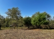 Tract 5 - The Woods at Dutch Ridge property photo