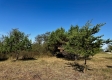 Tract 5 - The Woods at Dutch Ridge property photo