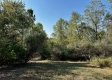 Tract 5 - The Woods at Dutch Ridge property photo