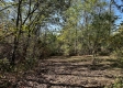 Tract 5 - The Woods at Dutch Ridge property photo