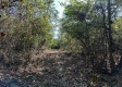 Tract 5 - The Woods at Dutch Ridge property photo