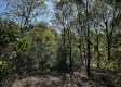 Tract 5 - The Woods at Dutch Ridge property photo