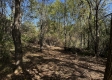 Tract 5 - The Woods at Dutch Ridge property photo