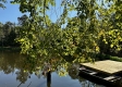 Tract 5 - The Woods at Dutch Ridge property photo