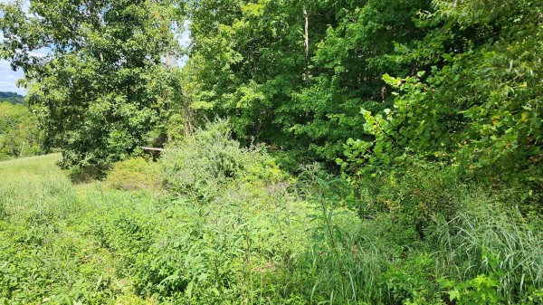 Tract 14 - Albany Woods property photo