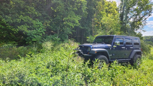 Tract 14 - Albany Woods property photo