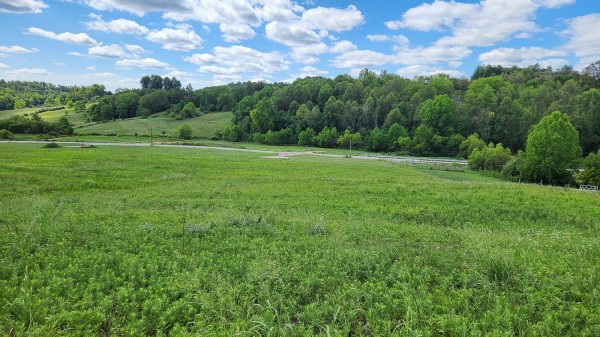 Tract 14 - Albany Woods property photo