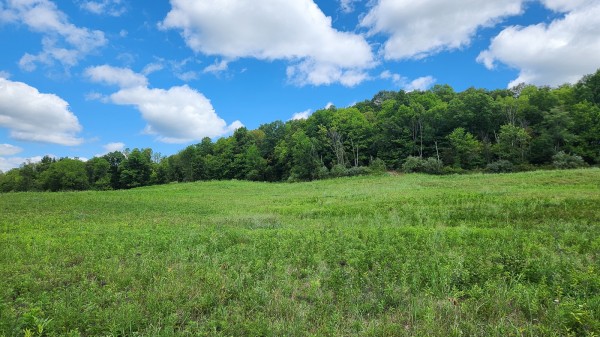 Tract 14 - Albany Woods property photo