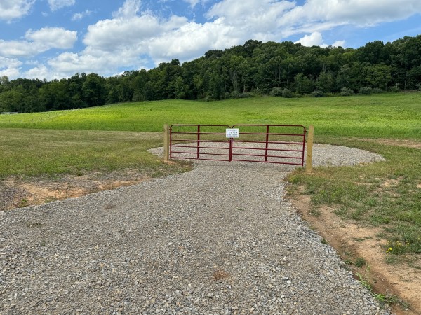 More of Tract 14 - Albany Woods