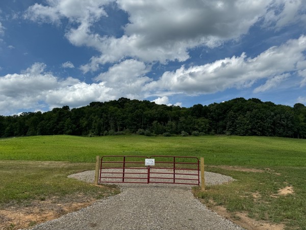 More of Tract 14 - Albany Woods