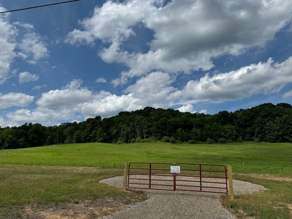 More of Tract 14 - Albany Woods