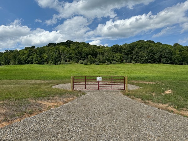 More of Tract 14 - Albany Woods