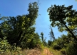 Tract 1 – Brill Road property photo
