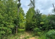 Tract 1 – Brill Road property photo