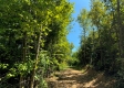 Tract 1 – Brill Road property photo