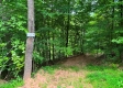 Tract 1 – Brill Road property photo