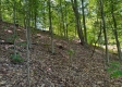Tract 1 – Brill Road property photo