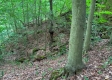 Tract 1 – Brill Road property photo