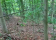Tract 1 – Brill Road property photo