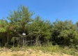Tract 2 at Brill Road property photo