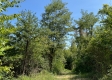 Tract 2 at Brill Road property photo
