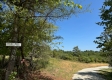 More of Tract 2 at Brill Road