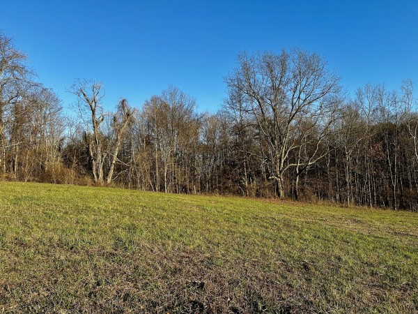 Tract 1 - The Woods at Dutch Ridge property photo