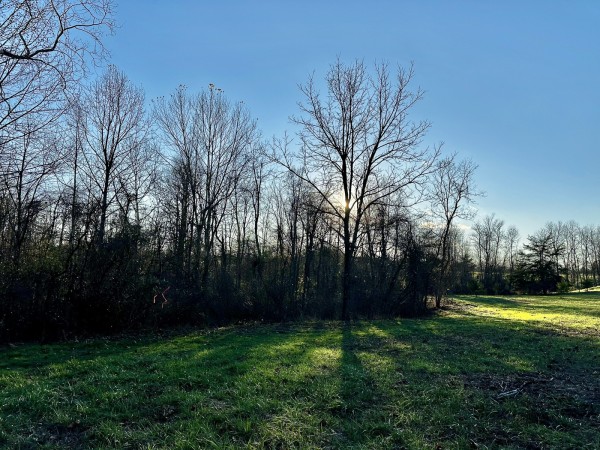Tract 1 - The Woods at Dutch Ridge property photo