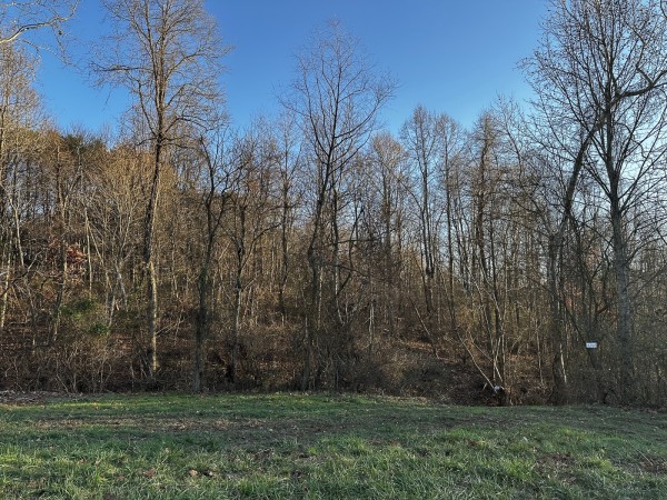 Tract 1 - The Woods at Dutch Ridge property photo