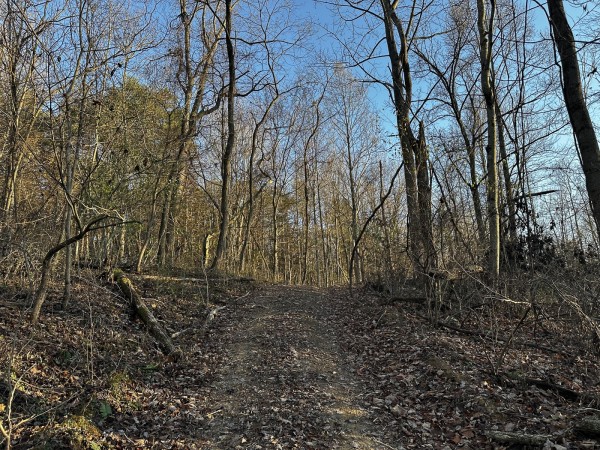 Tract 1 - The Woods at Dutch Ridge property photo