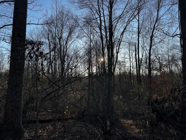 Tract 1 - The Woods at Dutch Ridge property photo